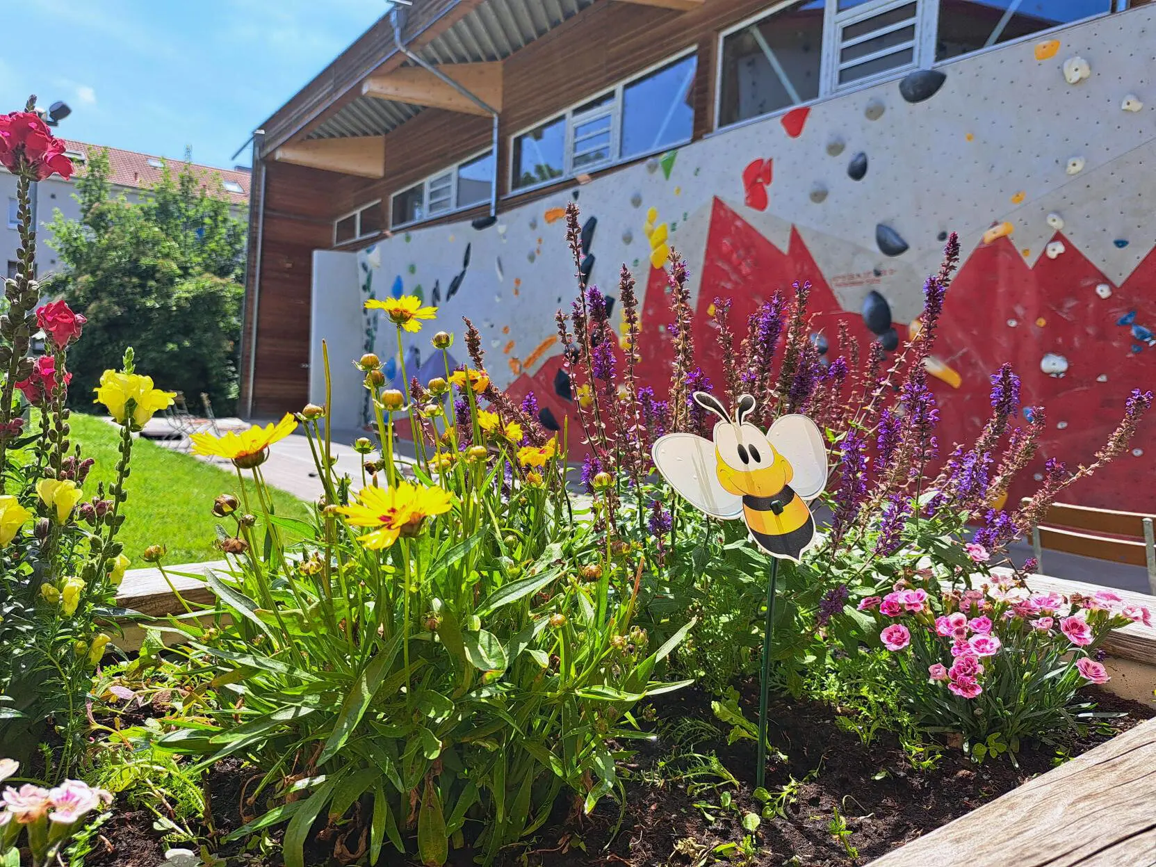 Boulderwand mit Blumen im Aussenbereich der Kletterarena | © diekletterarena