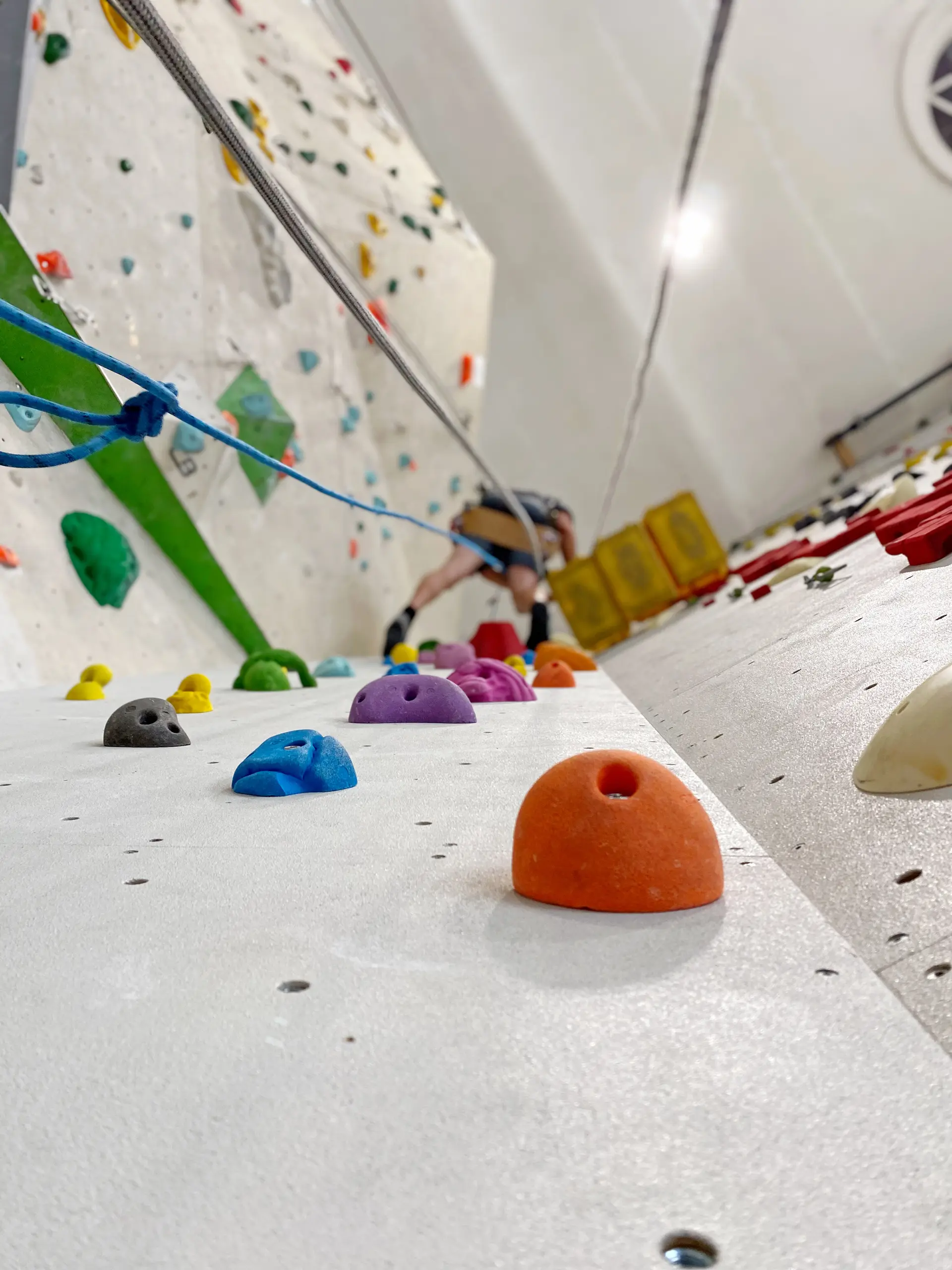 Routesetting Lead / diekletterarena | © diekletterarena