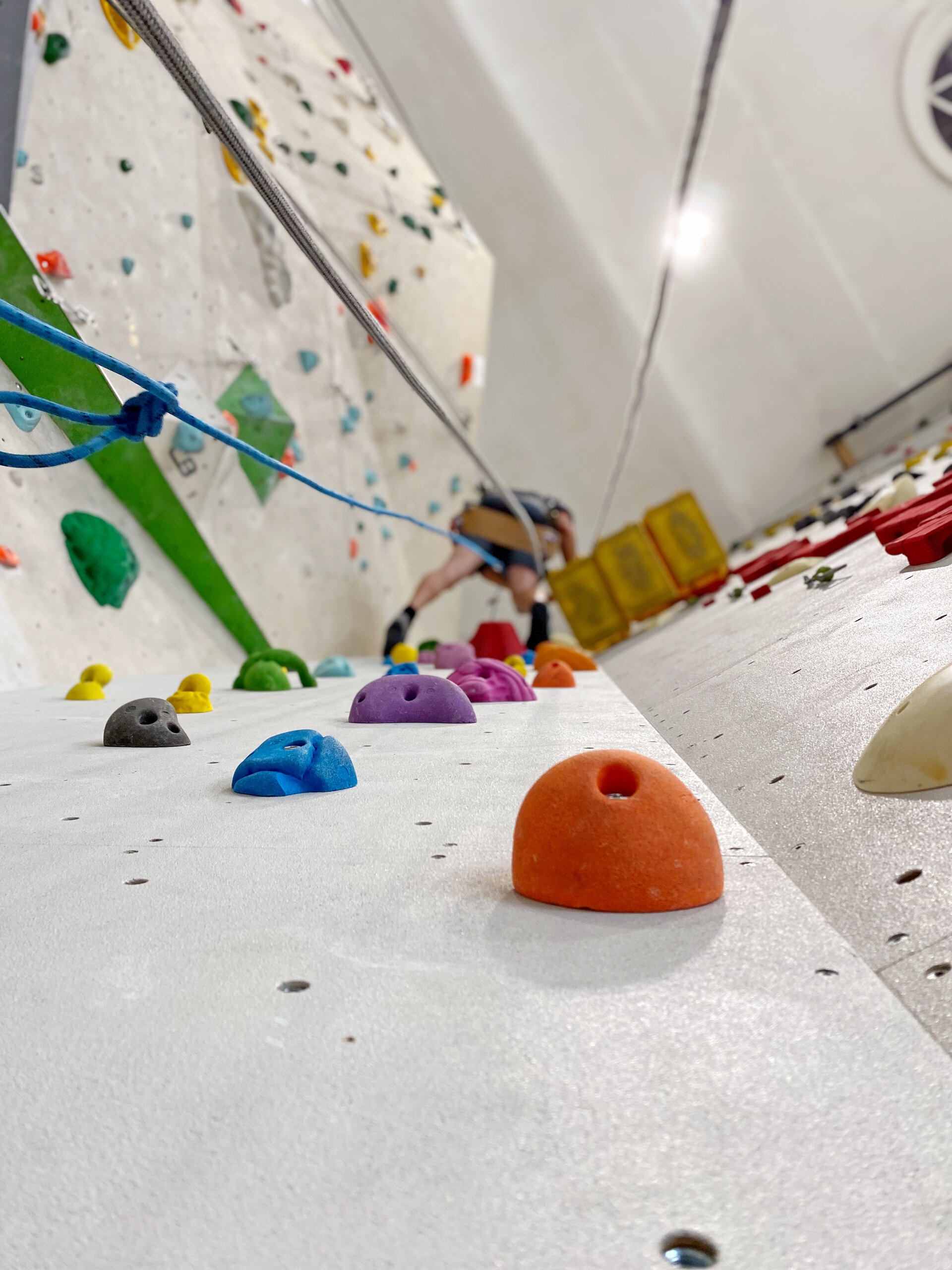 Routesetting Lead / diekletterarena | © diekletterarena Routesetting Lead / diekletterarena | © diekletterarena