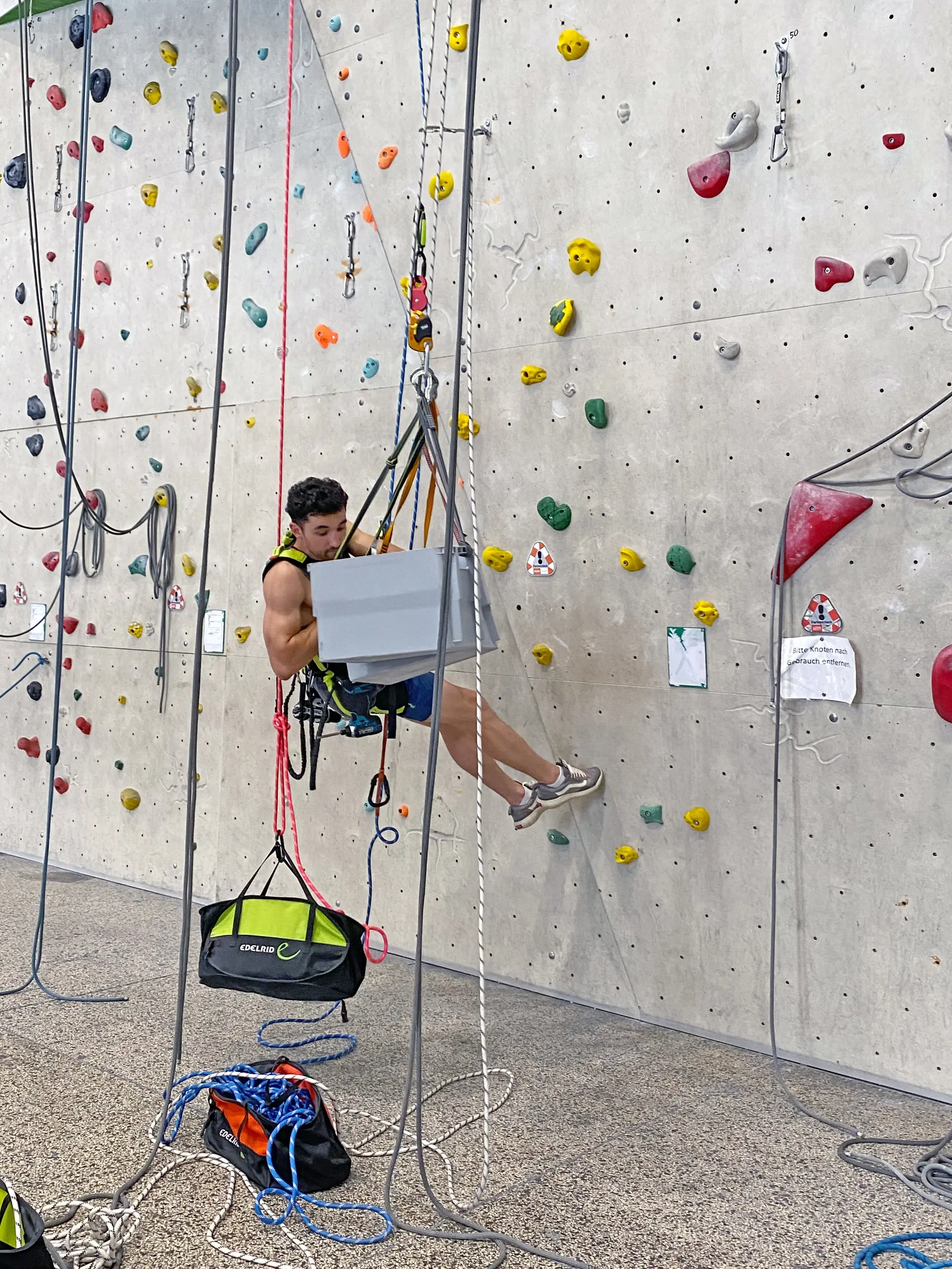 Routesetting Lead / diekletterarena | © diekletterarena