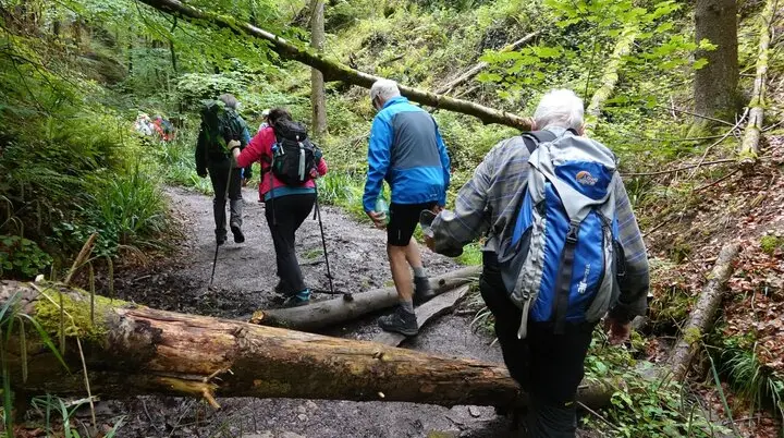 Auf Räuberwegen durch den Mainhardter Wald I Monatswanderung Mai I Bezirksgruppe Oehringen | © DAV Heilbronn