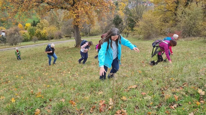 Frauenwandergruppe unterwegs bei der Novemberwanderung | © DAV Heilbronn